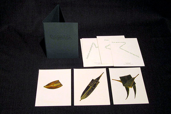 Origamis organiques