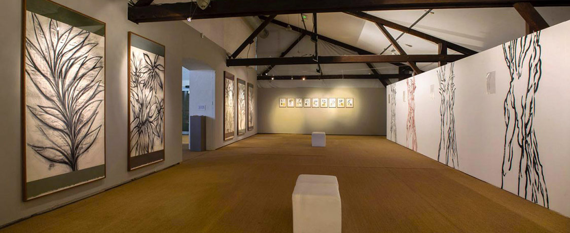 EXPOSITION : Titus-Carmel – PLAN DE COUPE