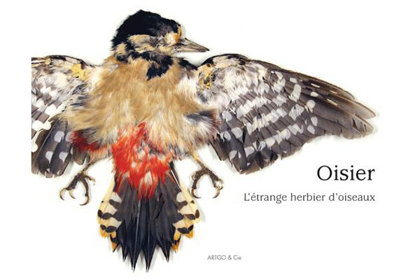 OISIER – Un étrange herbier d’oiseaux